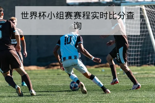 世界杯小组赛赛程实时比分查询